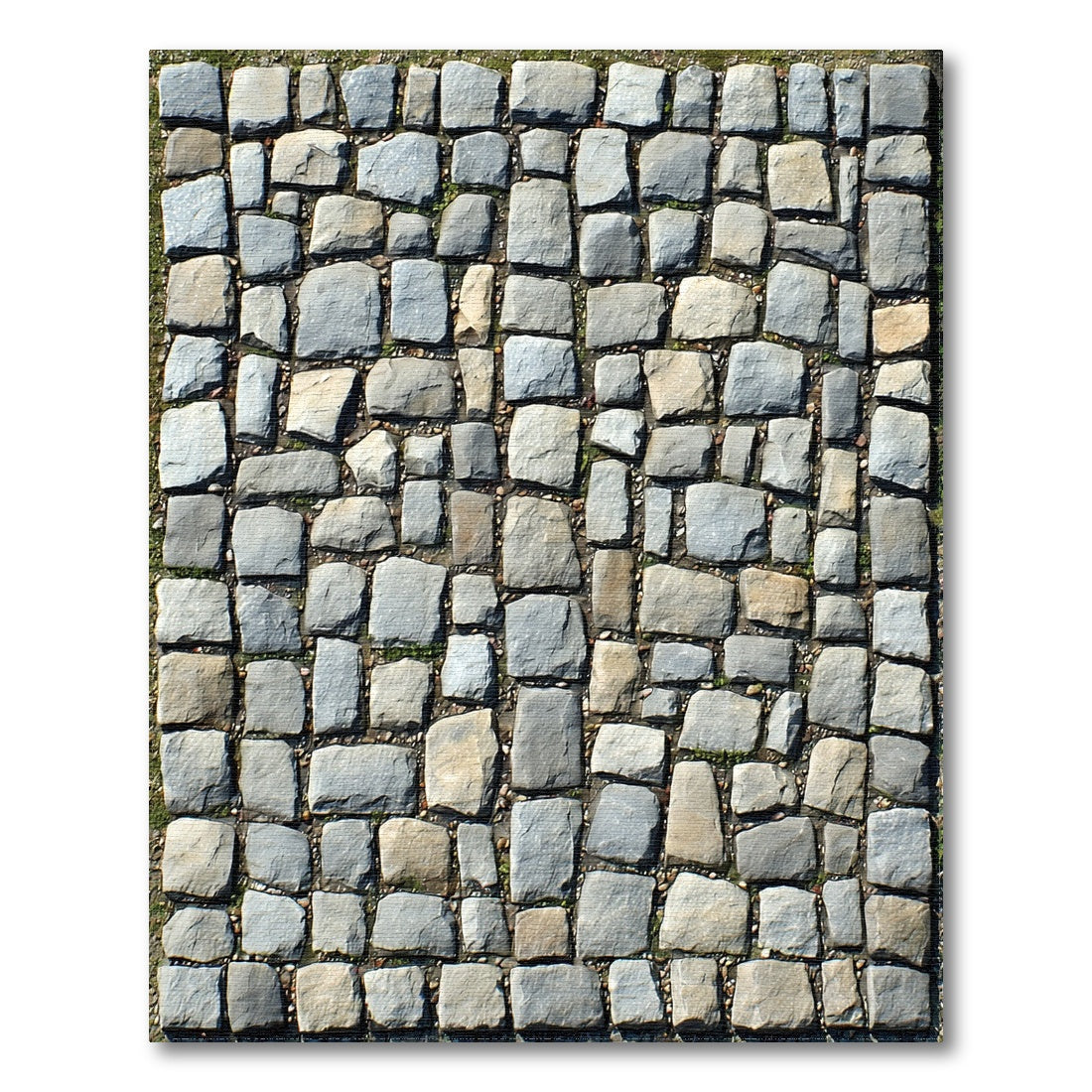 Slide image