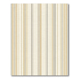 Beige and Neutral Beige Grey Vertical Stripe Area Rug