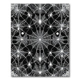 Intricate Spider Web Black White Area Rug