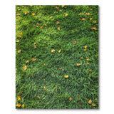 Lush Green Grass with Autumn Leaves Rug