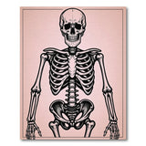 Pink Skeleton Anatomy Area Rug