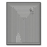Intricate Black White Maze Labyrinth Rug