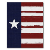 Distressed Texas Lone Star Flag Area Rug
