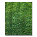 Lush Green Turf Grass Area Rug