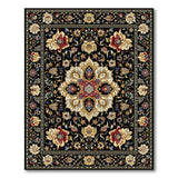 Multi-color and Patterns Black Persian Floral Medallion Area Rug
