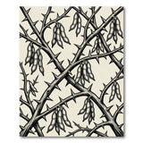 Thorny Vines Pods Black White Area Rug