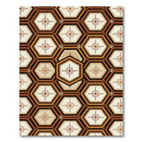 Brown and Tan Hexagonal Geometric Brown Tan Area Rug