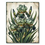 Vintage Green Iris Blooms Area Rug