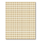 Beige and Neutral Beige Gingham Plaid Area Rug