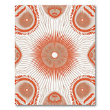 Bold Orange Sunburst Geometric Area Rug