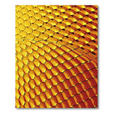 Golden Hexagon Scale Area Rug