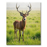 Majestic Kudu Antelope Savanna Area Rug