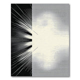 Radiant Burst Black White Area Rug