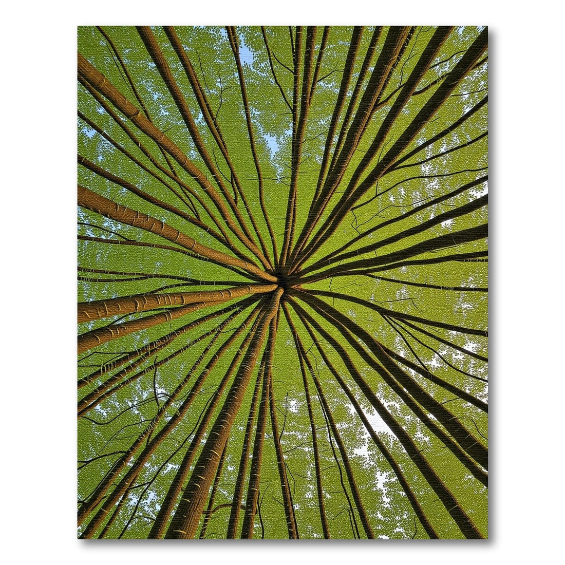 Slide image