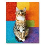 Vibrant Color Block Patchwork Shag Rug
