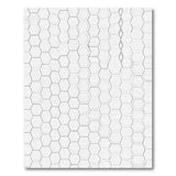 Grey Hexagon Geometric Modern Area Rug