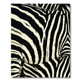 Heritage Tribal Zebra Stripe Black White Area Rug