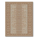 Brown Tan Traditional Persian Area Rug