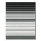 Black White Gradient Stripe Area Rug