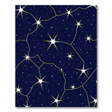 Navy Constellations Star Map Area Rug