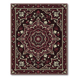 Luxurious Red Traditional Persian Area Rug