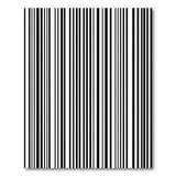 Bold Black White Vertical Stripe No. 36 Area Rug
