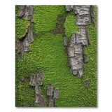 Mossy Tree Bark Area Rug