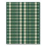 Geometric Modern Green Green Plaid Check Area Rug