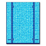 Swimming Pool Lane Area Rug