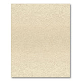 Beige Textured Plush Area Rug