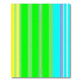 Vibrant Geometric Modern Vibrant Multi-Color Vertical Stripe Area Rug