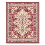 Red Border Persian Medallion Area Rug