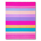 Vibrant Multi-Stripe Fringe Area Rug