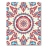 Vibrant Teal Red Mandala Tribal Area Rug