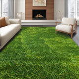 Ultra Soft Area Rug, Non Slip, Stain Resistant, Washable Area Rugs for Living Room, Bedroom, 3D Shag Moss(Green)
