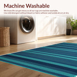 Ultra Soft Area Rug, Non Slip, Stain Resistant, Washable Area Rugs for Living Room, Bedroom, Boho Chic Distressed(Blue)