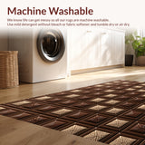 Ultra Soft Area Rug, Non Slip, Stain Resistant, Washable Area Rugs for Living Room, Bedroom, Southwestern(Brown)