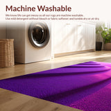 Ultra Soft Area Rug, Non Slip, Stain Resistant, Washable Area Rugs for Living Room, Bedroom, Plush Shaggy Kids(Purple)