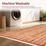 Ultra Soft Area Rug, Non Slip, Stain Resistant, Washable Area Rugs for Living Room, Bedroom, Solid Plush Shag(Brown)