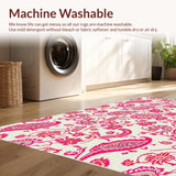 Ultra Soft Area Rug, Non Slip, Stain Resistant, Washable Area Rugs for Living Room, Bedroom, Paisley Floral Abstract Modern(Pink)