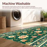 Ultra Soft Area Rug, Non Slip, Stain Resistant, Washable Area Rugs for Living Room, Bedroom, Boho Vintage Oriental(Green)