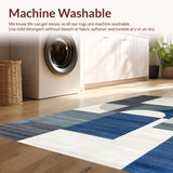 Ultra Soft Area Rug, Non Slip, Stain Resistant, Washable Area Rugs for Living Room, Bedroom, Modern Zen Sanctuary Floor Canvas(Gray)
