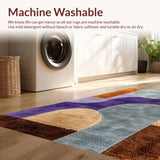 Ultra Soft Area Rug, Non Slip, Stain Resistant, Washable Area Rugs for Living Room, Bedroom, Neutral Abstract Low Pile(Brown)