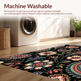 Ultra Soft Area Rug, Non Slip, Stain Resistant, Washable Area Rugs for Living Room, Bedroom, Paisley Floral Print(Black)