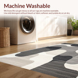 Ultra Soft Area Rug, Non Slip, Stain Resistant, Washable Area Rugs for Living Room, Bedroom, Abstract Modern Washable(Gray)